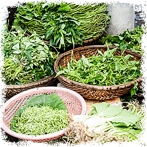 Krydderurter<br />Kryddersalte