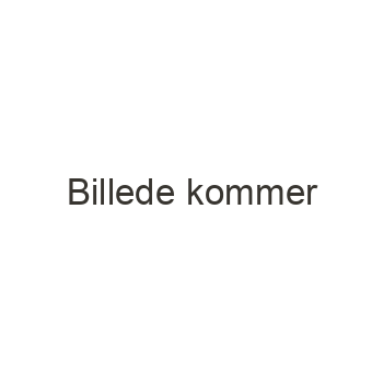 Danske Flag