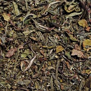 Grn/Hvid Te m. Kokos og Vanilje