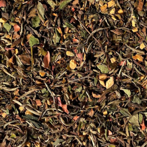 Hvid Te m. Kakao og Karamelsmag