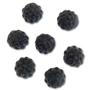 Sukkerfri Lakrids Frugter