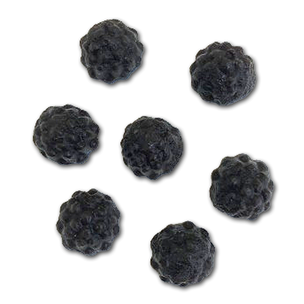 Sukkerfri Lakrids Frugter