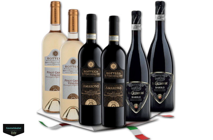 Vingave Italien 1250 kr ekskl. moms