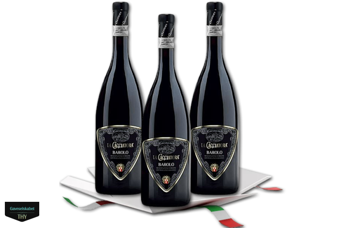 Vingave Italien 800 kr ekskl. moms