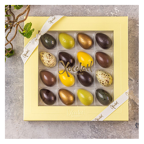 Xocolatl Pskeske med 16 fyldte chokoladeg