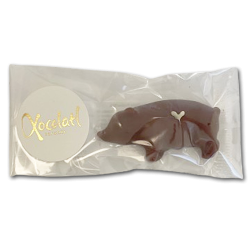 Xocolatl Marcipan Gris