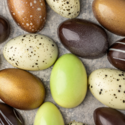 Xocolatl Pskeske med 20 fyldte chokoladeg