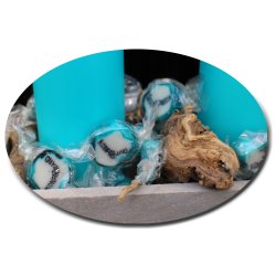 Konfirmand Bolsjer Turkis